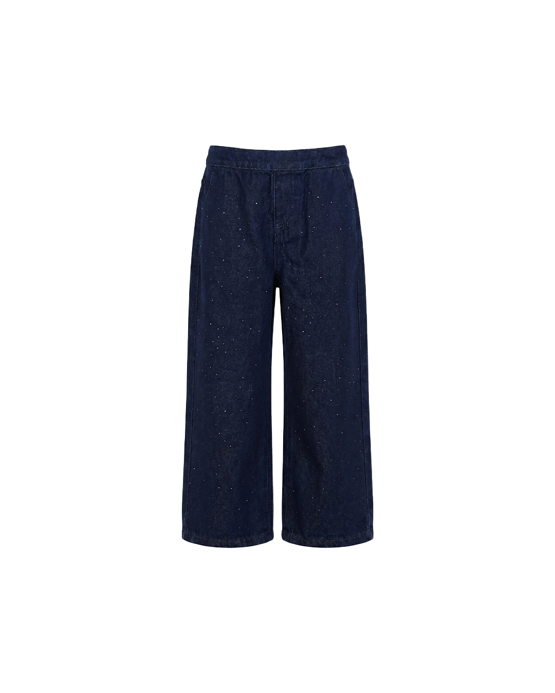 Star Dust Jeans